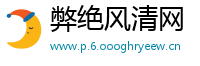弊绝风清网